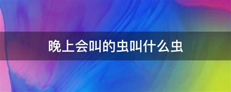 唧唧叫的蟲|夏秋晚上会叫的虫子有哪些？